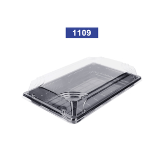 Yq1109 Disposable Plastic Sushi Box Container