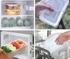500ml Plastic Disposable Transparent Microwave Safe Food Container With Lid